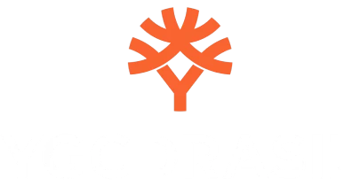 partners who work with 51play